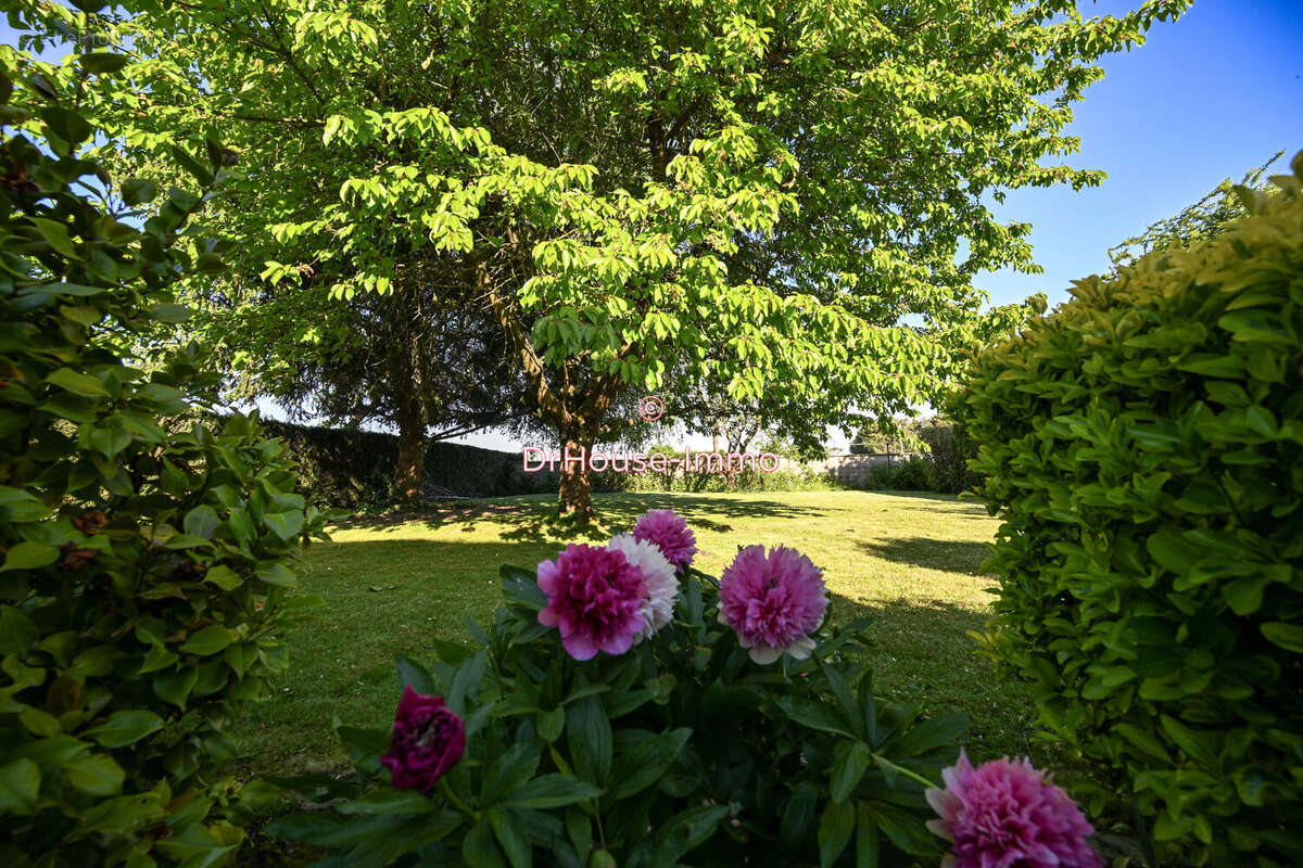 Maison à VILLAINES-SOUS-BOIS