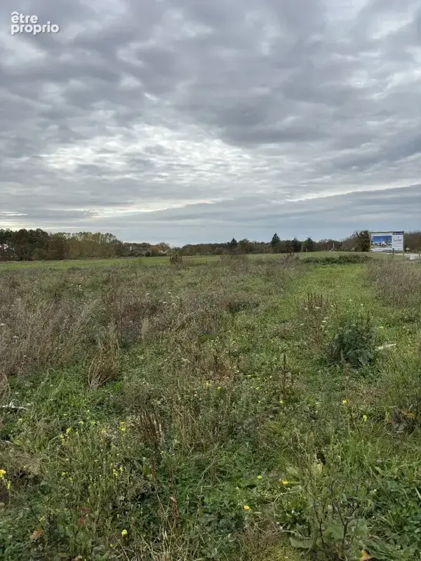 Terrain à JARZE
