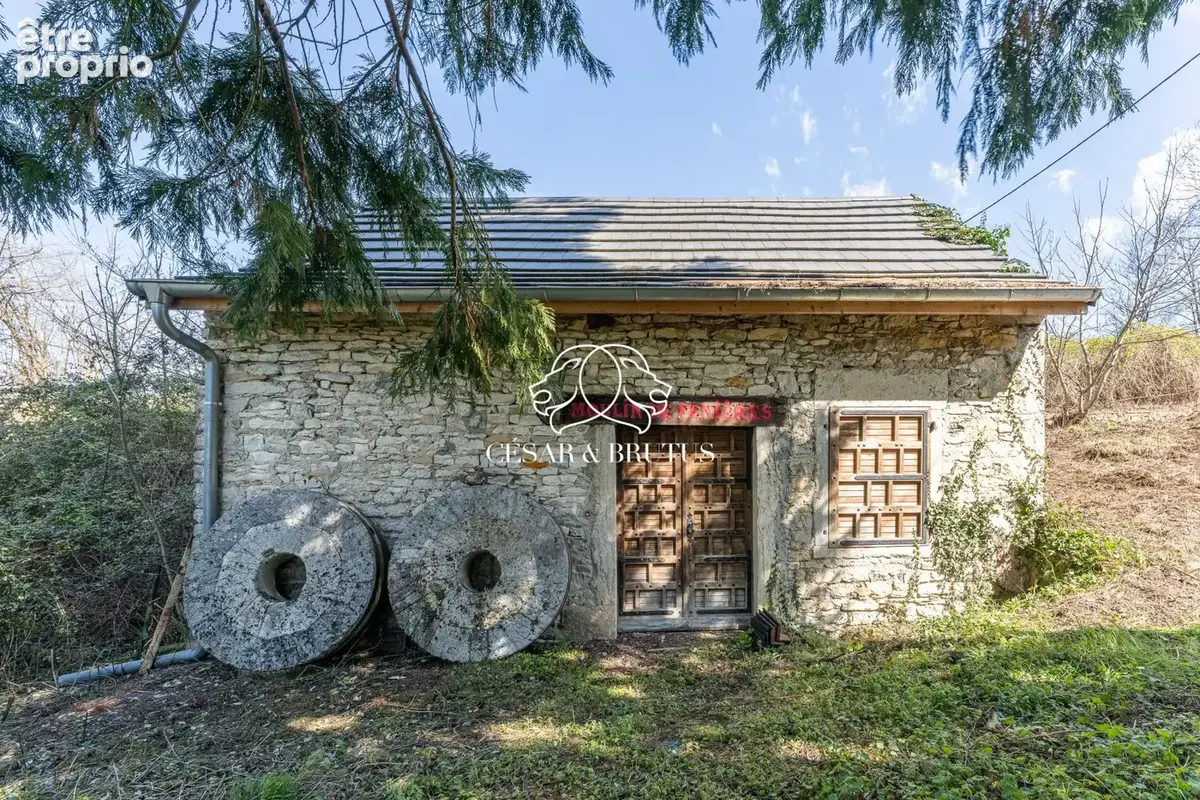 Maison 9 pièces 300 m² à vendre à Trept (38460) - photo 6
