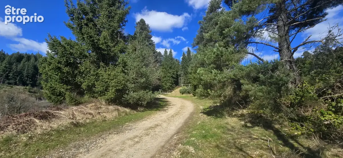 Gite de 576 m2 proche du centre ville - photo 5