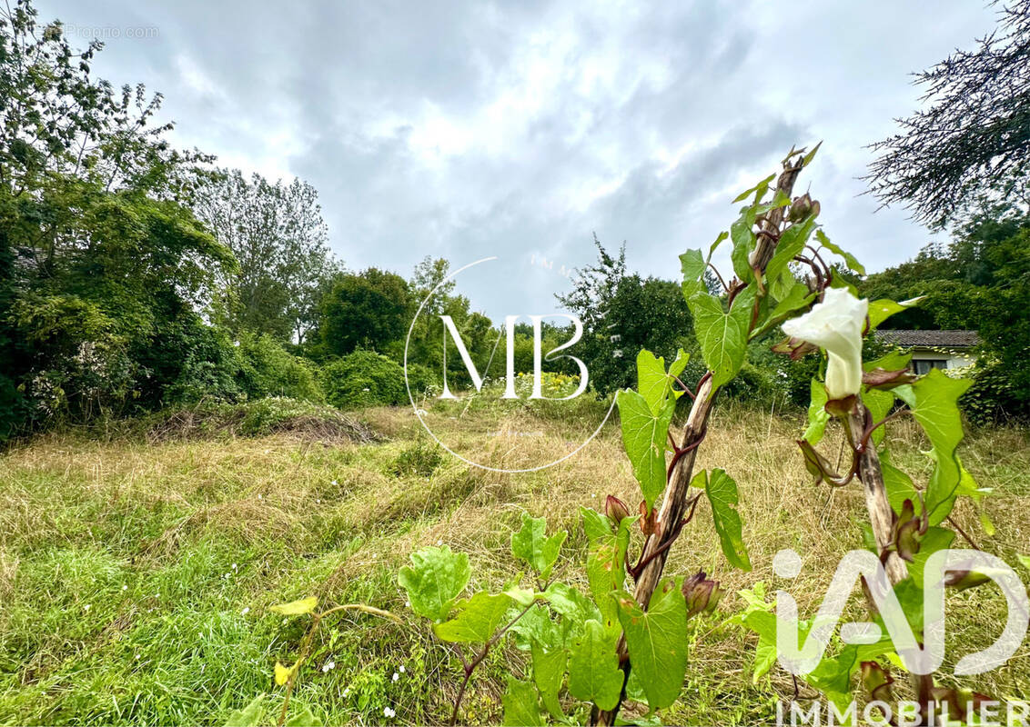 Photo 1 - Terrain à PRESLES