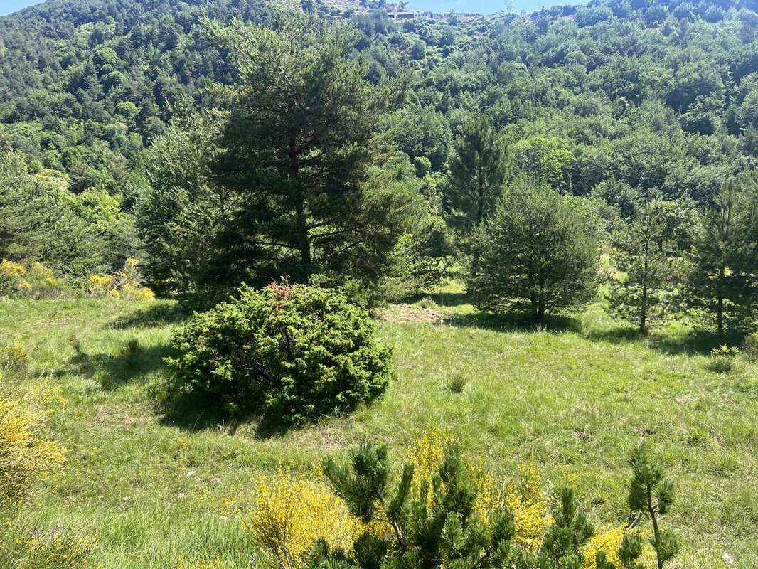 Terrain à SOSPEL