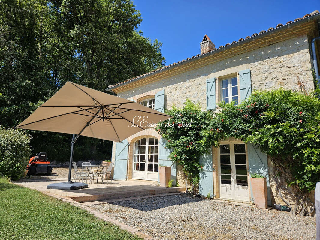 Maison 251 m² à Gaillac  - photo 4