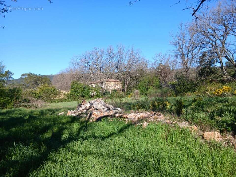 Terrain 2168 m² à Gareoult  - photo 2