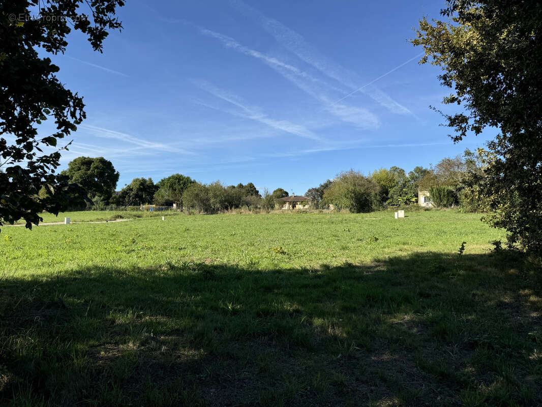 Terrain à CASTELJALOUX