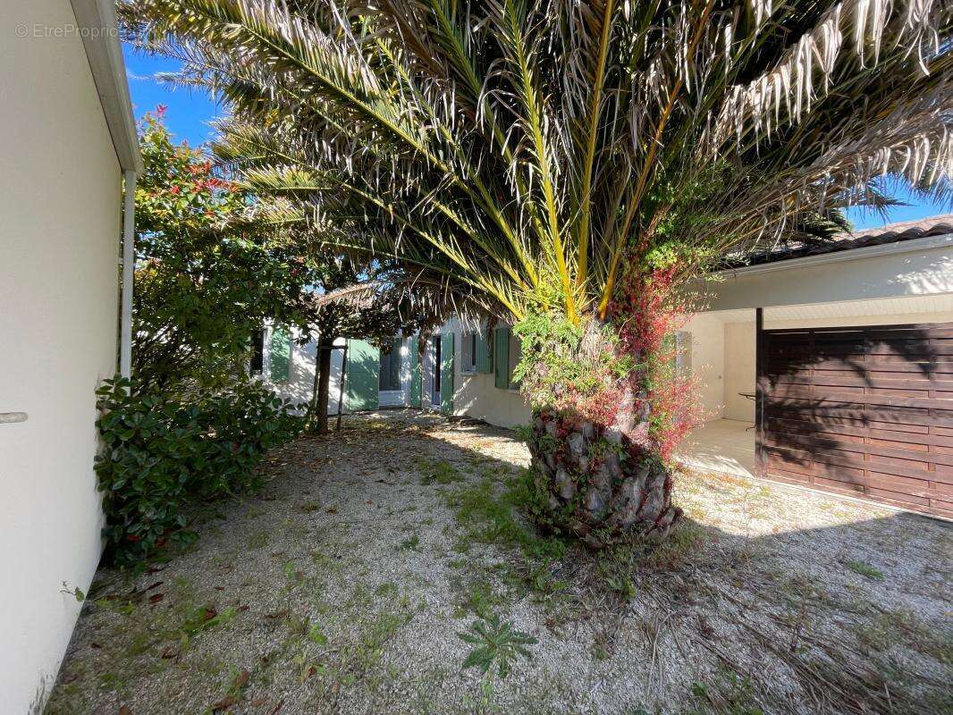 Maison à DOLUS-D&#039;OLERON