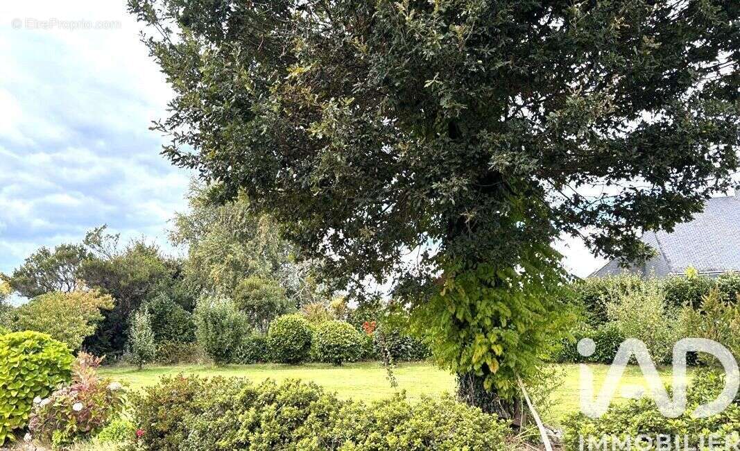 Photo 2 - Terrain à SAINT-EVARZEC