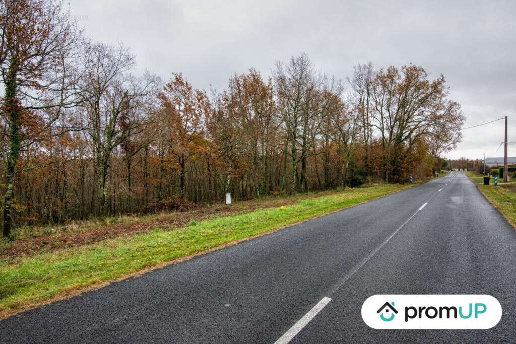 Terrain à VILLEMUR-SUR-TARN