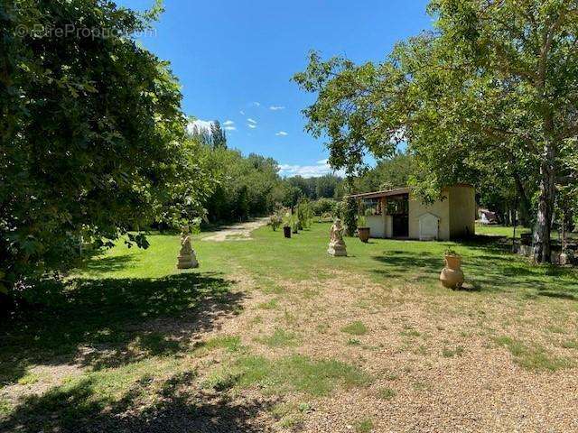 Terrain à SAINT-REMY-DE-PROVENCE