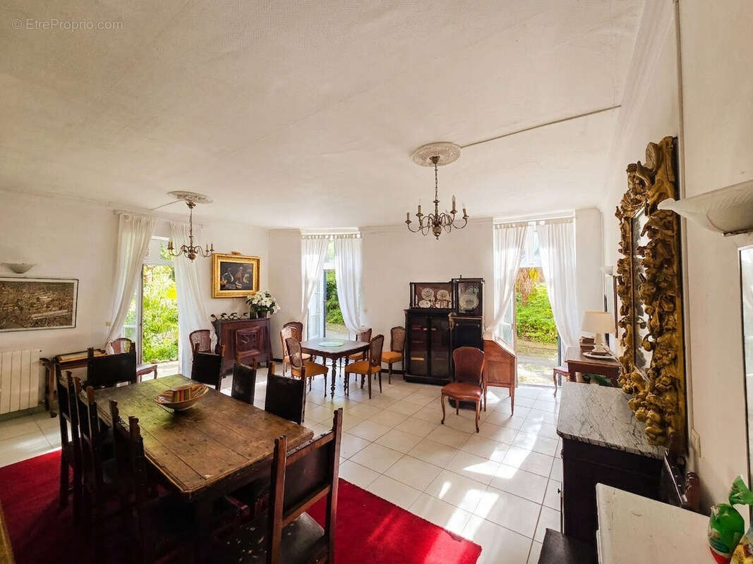 Photo 6 - Maison à SALIES-DE-BEARN