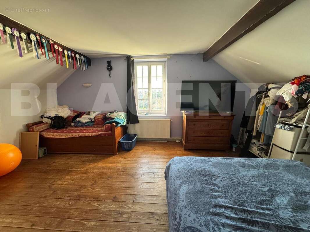 de4b758c-ad4c-4b3b-9ee6-1a320e5bc199 - Maison à CRECY-LA-CHAPELLE