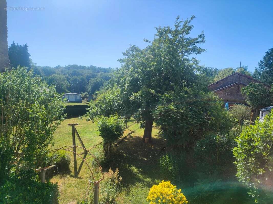 Appartement 628 m² à Champagnac-La-Riviere  - photo 2