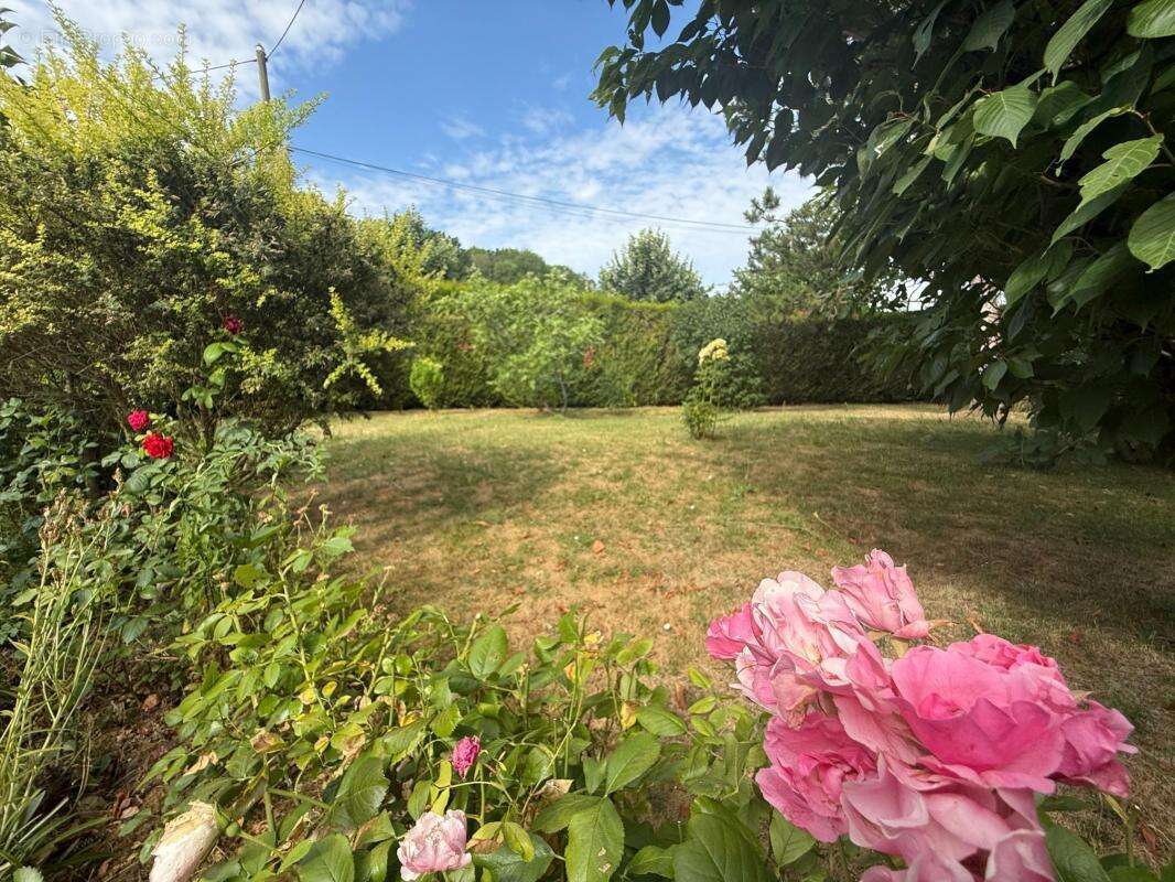PENCHARD (77) - Terrain à bâtir - 400m² - photo 2