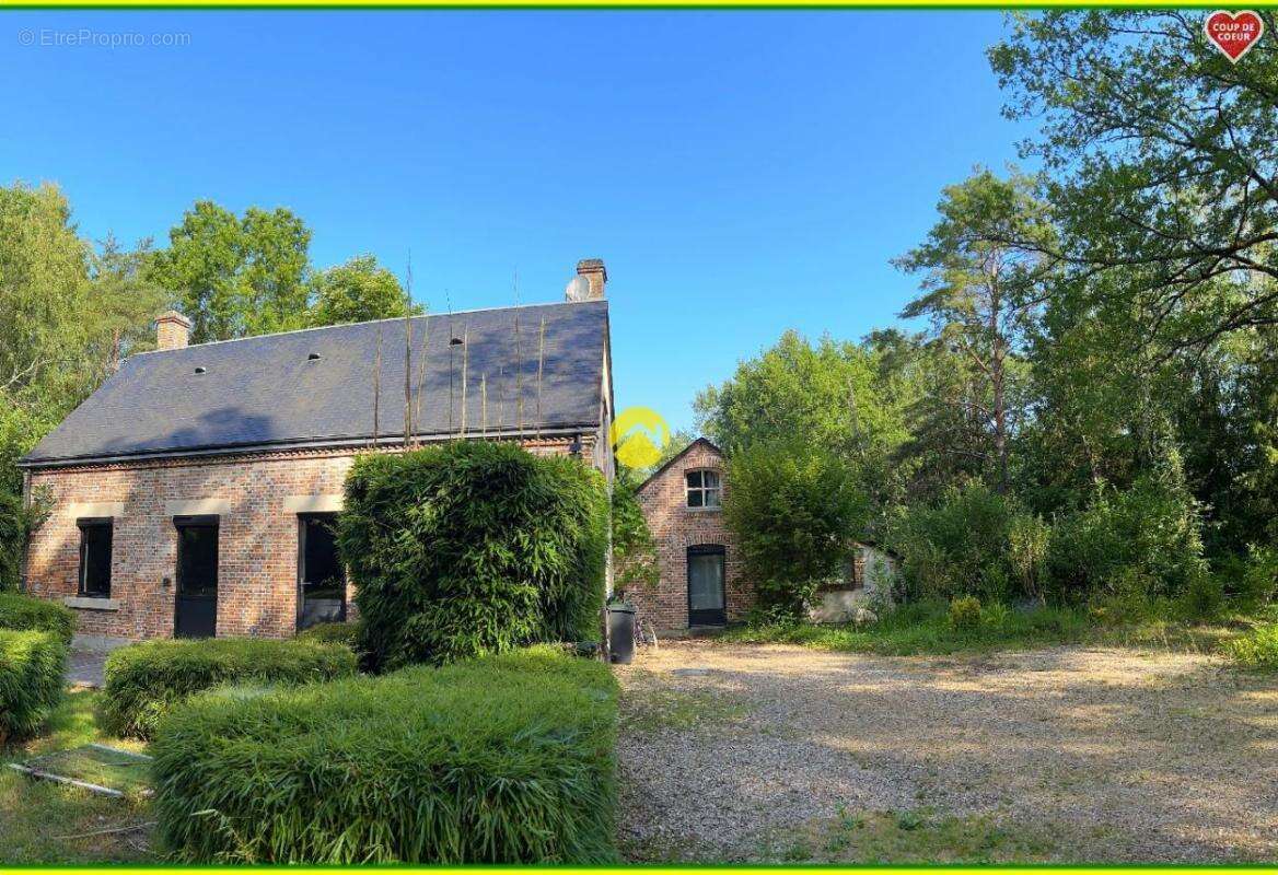 Maison Solognotte Terrain 6345m² - photo 3