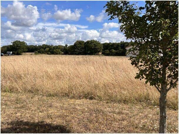 Terrain à SAINT-FRAIGNE