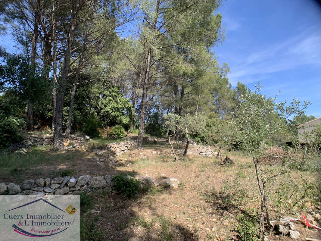 Terrain à CUERS