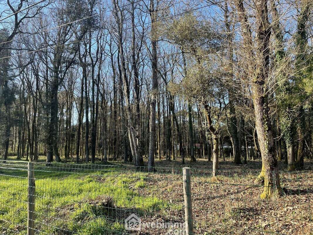 Trois parcelles disponibles.