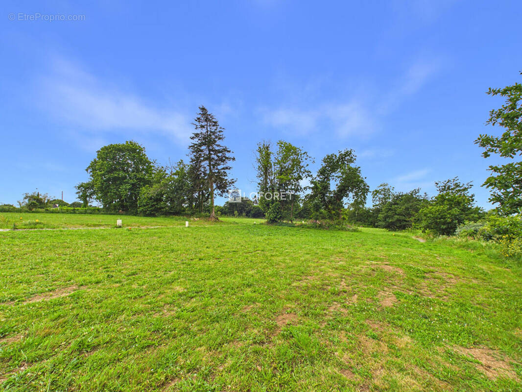 Terrain à SAINT-THOIS