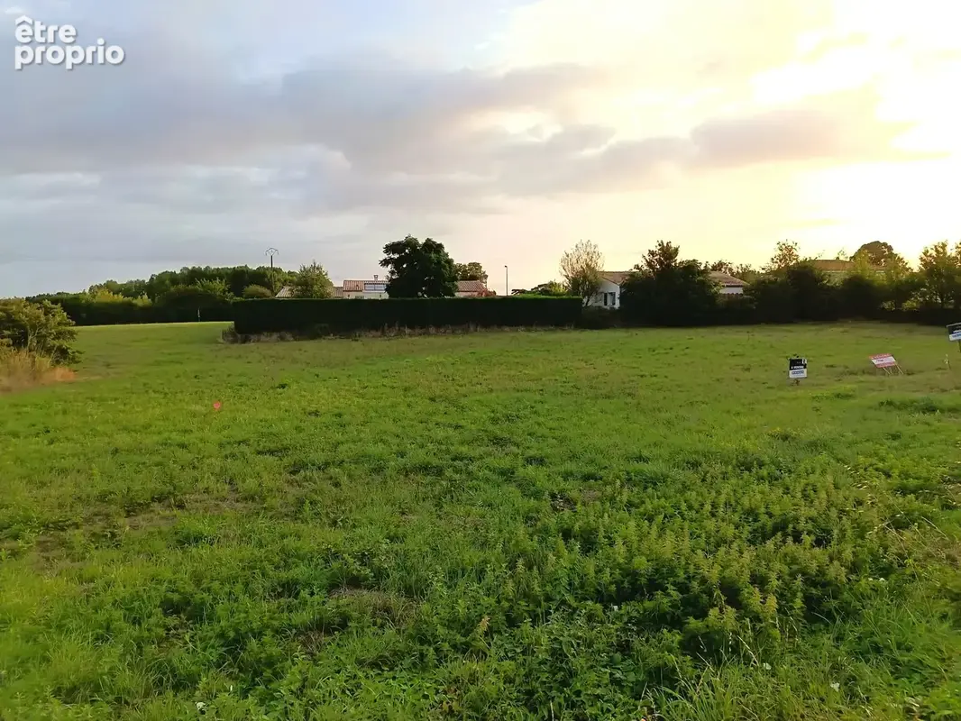 Photo Terrain à Champagne au prix de 69 000€