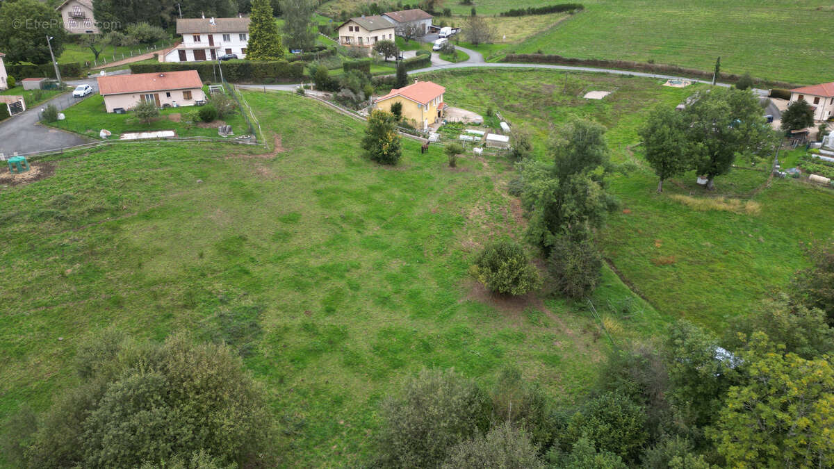 Terrain à POULE-LES-ECHARMEAUX