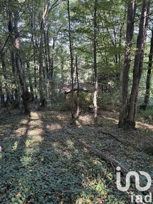Photo 3 - Terrain à VALLERES