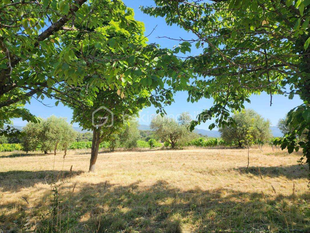 Mas Authentique au Cœur du Luberon sur plus de 2,7 hectares - photo 3