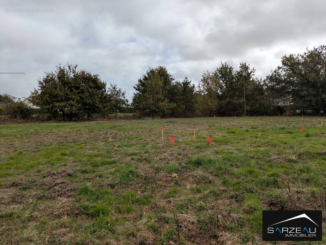 Terrain à LE TOUR-DU-PARC