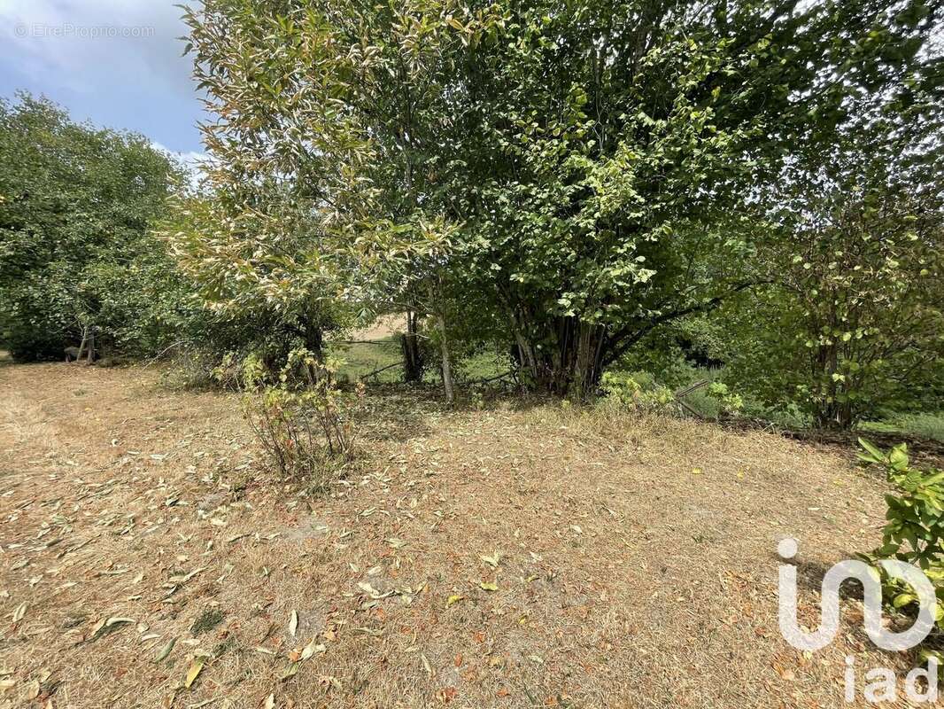 Photo 6 - Maison à MIALET