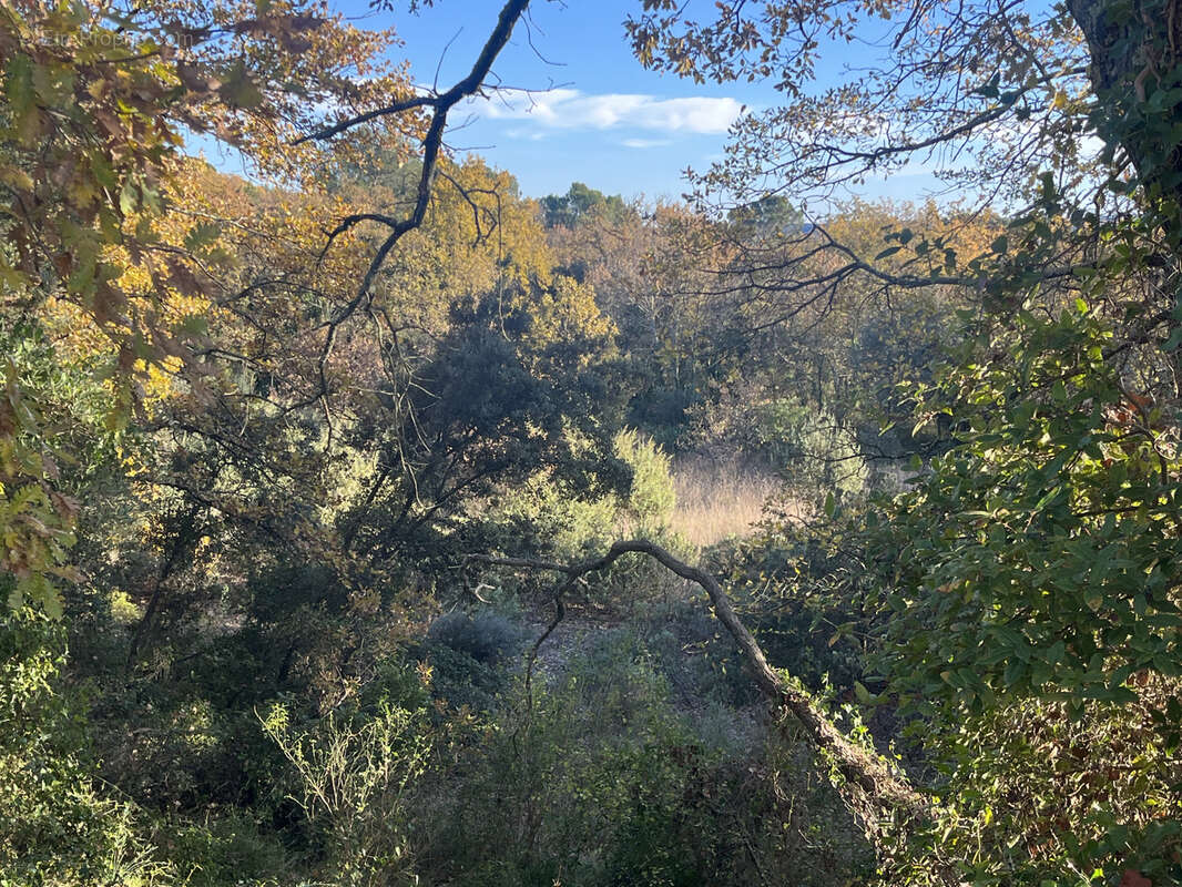 Terrain à SAINT-MAXIMIN