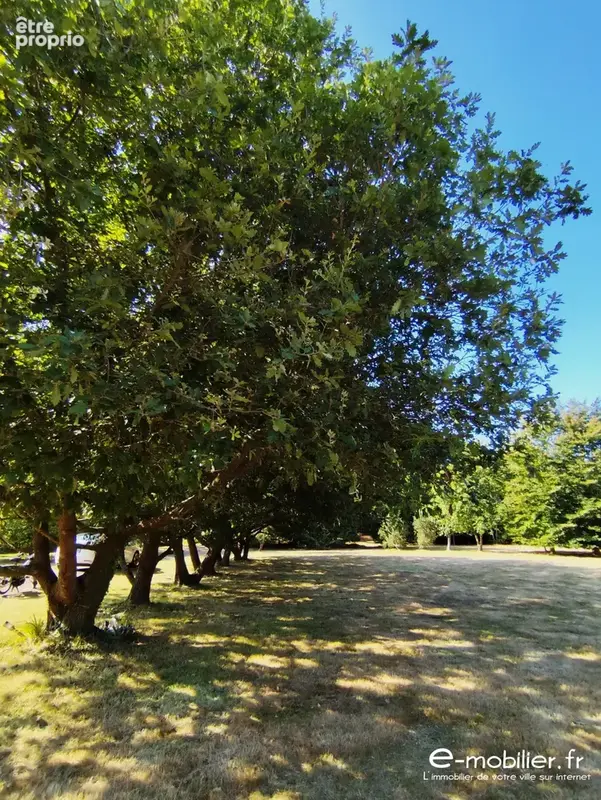 Maison 4 pièces 73 m² à vendre à Groix (56590) - photo 6