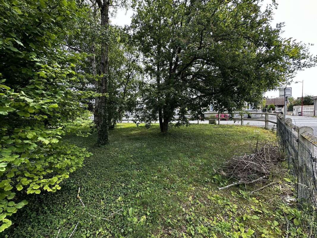 Terrain à BEINE-NAUROY