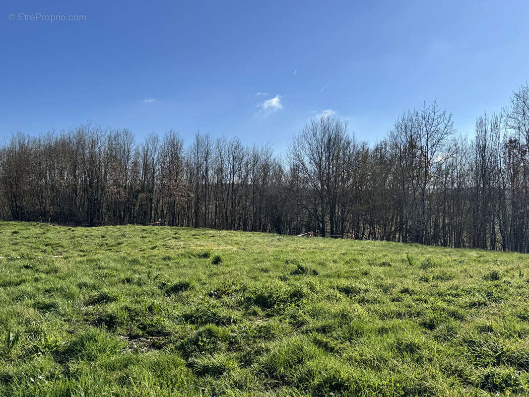 Terrain à MONTANS