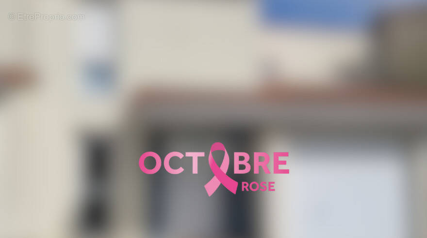 Maison à LE LOROUX-BOTTEREAU