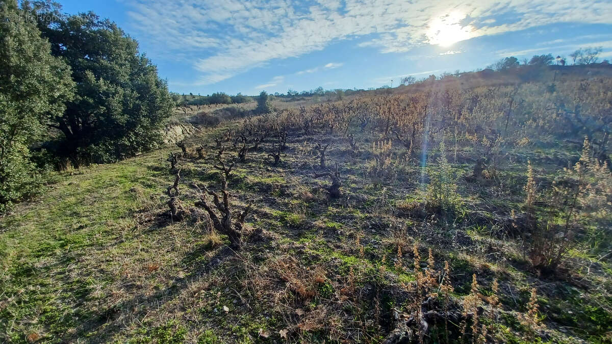Terrain constructible de 706 m² - photo 3
