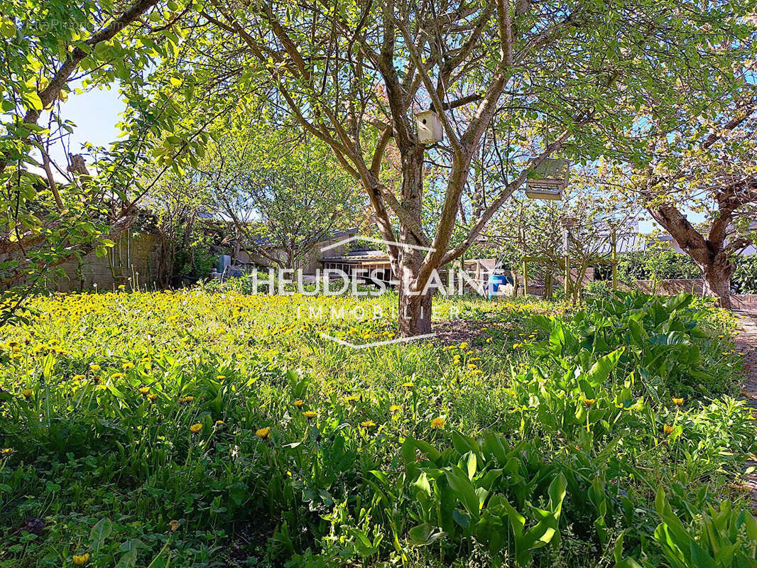 DONVILLE LES BAINS - Maison à vendre - 50350 - photo 13