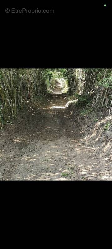 Terrain à MONTSAUCHE-LES-SETTONS