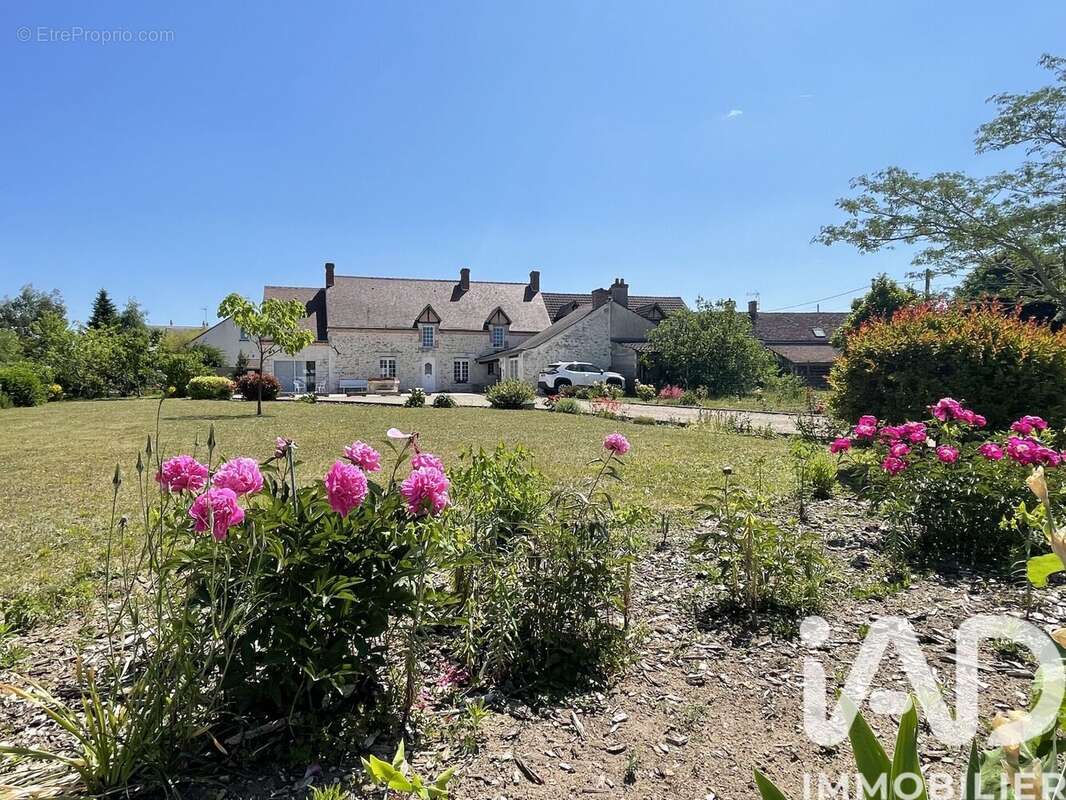 Photo 3 - Maison à OLIVET