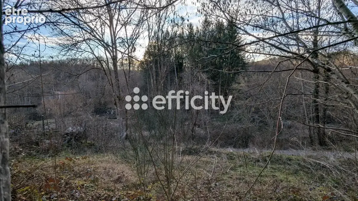 Maison 3 pièces 38 m² à vendre à Saint-Remy-Sur-Durolle (63550) - photo 10
