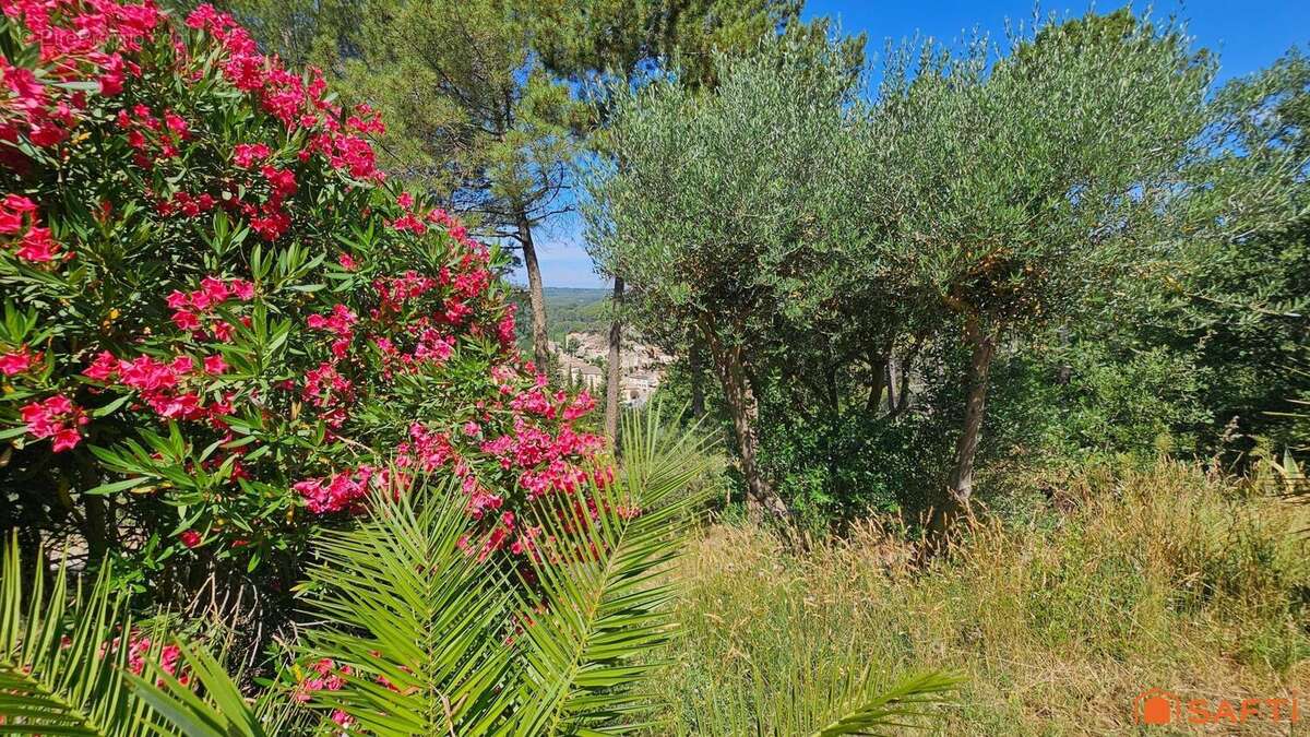 Photo 7 - Maison à SALERNES