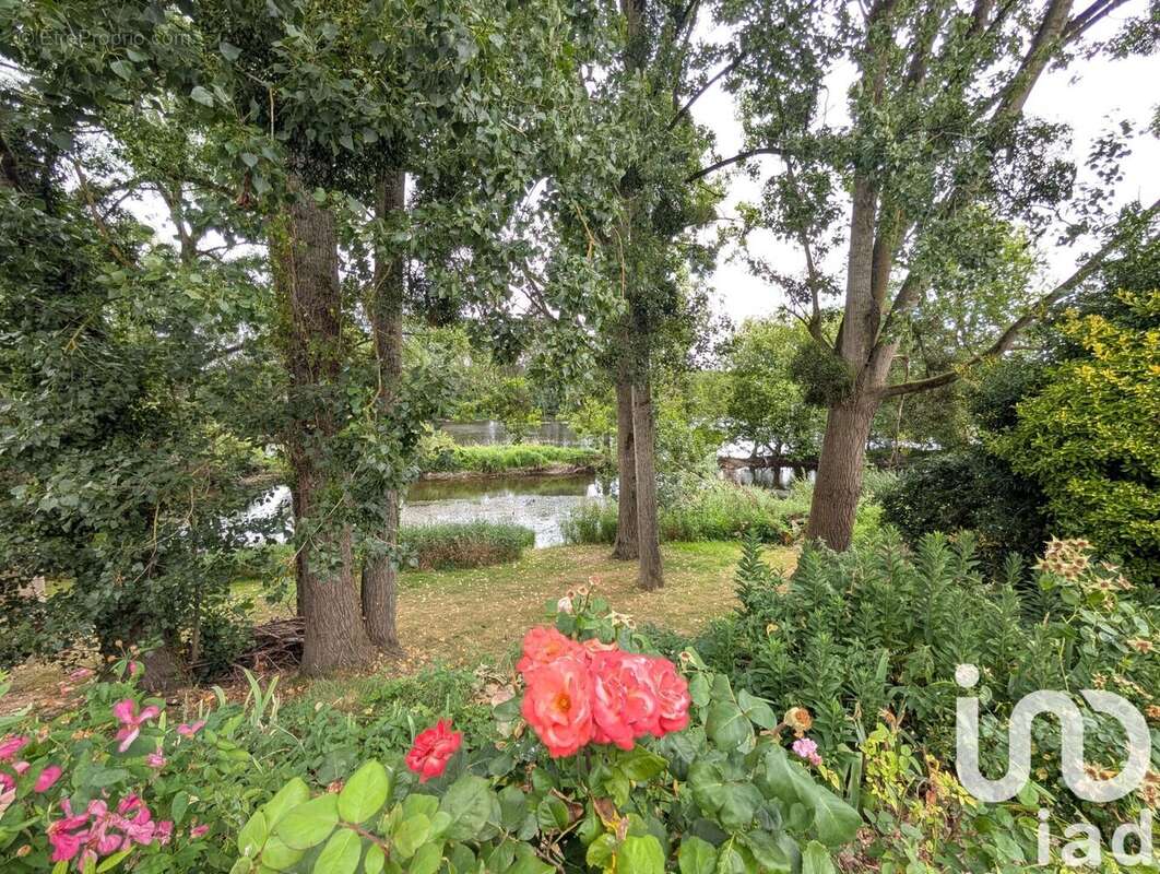 Photo 4 - Maison à MAZEROLLES