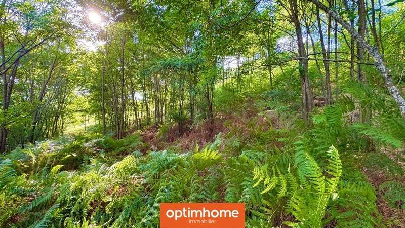 Terrain à SAULXURES-SUR-MOSELOTTE