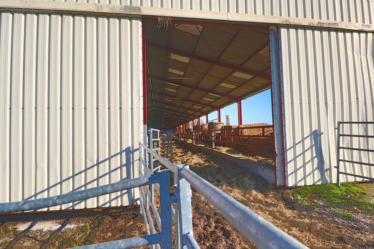 Commerce à SAINT-JEAN-DE-LOSNE