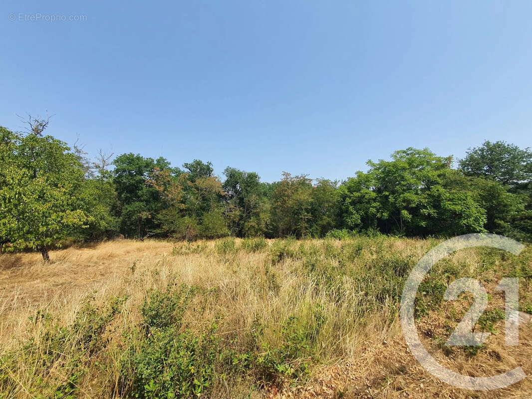 Terrain 860 m² à Montans  - photo 4