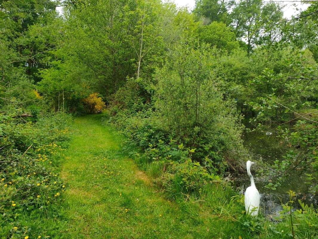 Terrain à ORADOUR-SUR-VAYRES