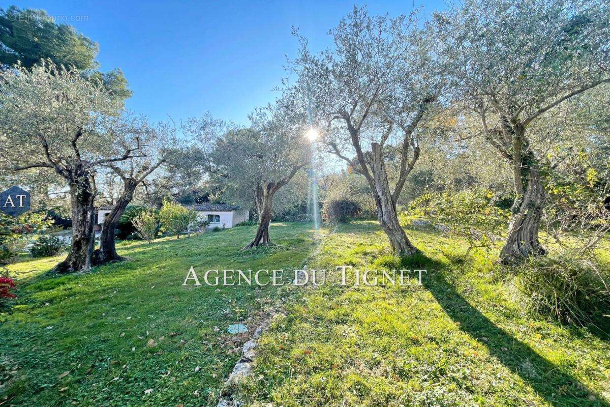 Maison à SPERACEDES