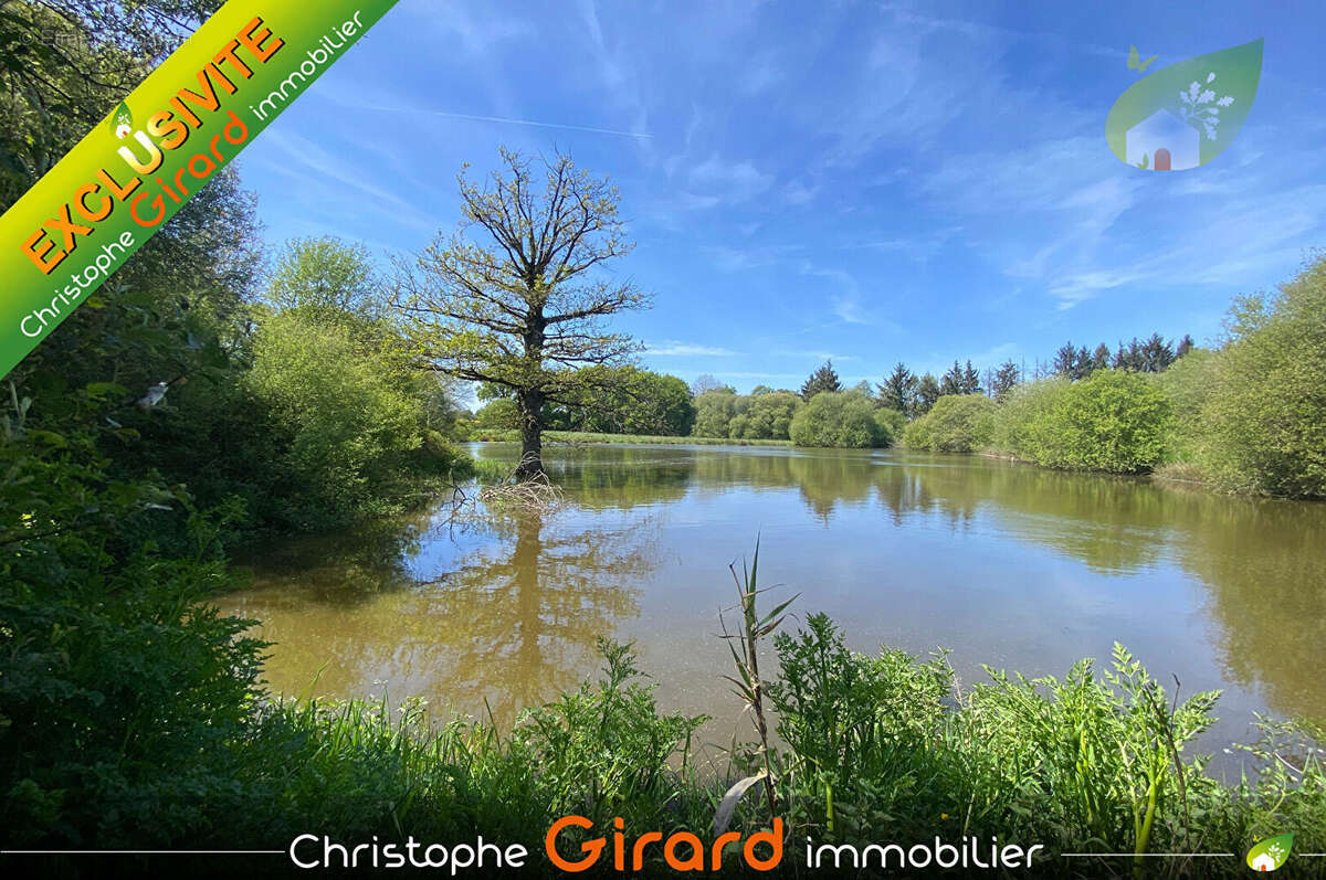 Terrain  etang a vendre  a vignoc  (35630) - 30 825 m² - photo 5