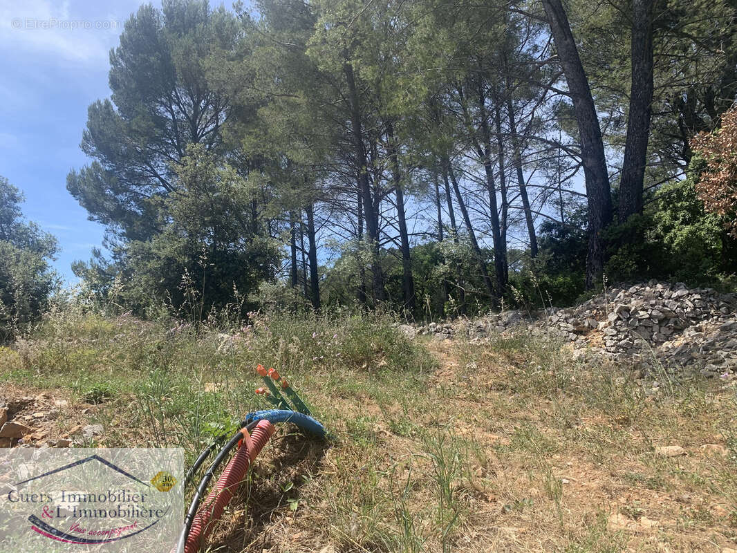 Terrain à CUERS