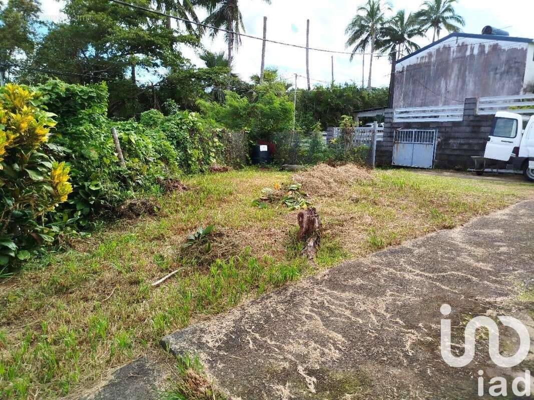 Photo 9 - Maison à SAINT-JOSEPH