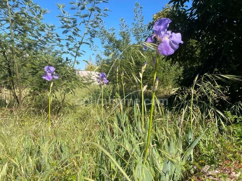 Terrain à LA FLOTTE