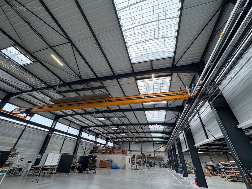 Commerce à SAINT-ETIENNE-DU-ROUVRAY